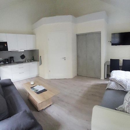 Ferienwohnung Teichblick Freiberg Rum bild